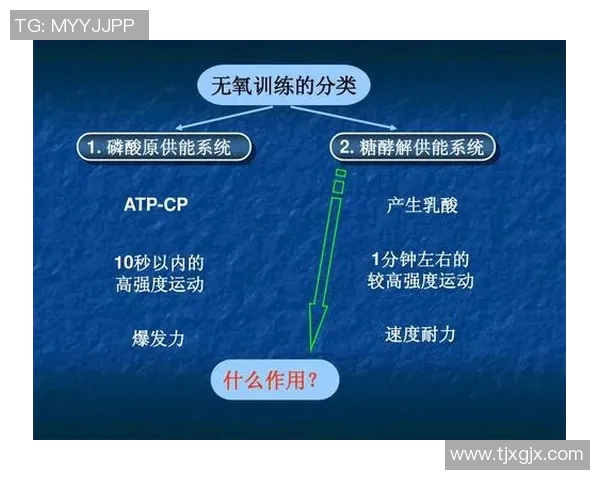 重庆网球队战术深度解析：从基础训练到比赛策略全方位剖析